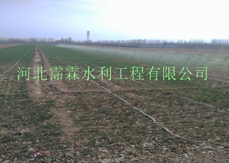 微喷带苗木厂家直销 内蒙古微喷带，各种规格输水带|质优价低