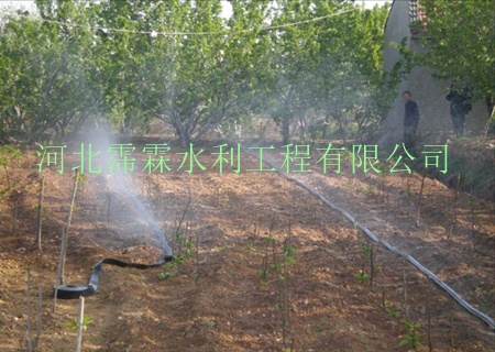 质优输水带 内蒙古苗木农业微喷带价格