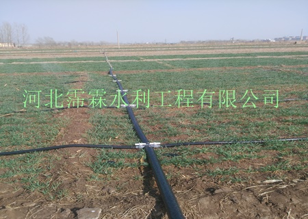 【微喷带，喷灌带，多孔管】内蒙古苗木输水带的好帮手