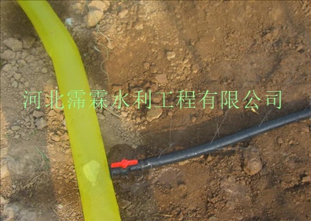 输水带|规格齐全 生产各种微喷带 专为内蒙古苗木大田量身定做