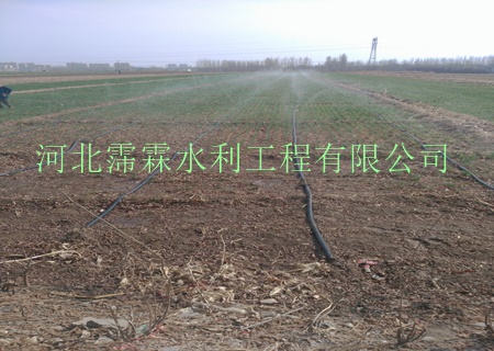 内蒙古微喷带,多孔微喷带|微喷带苗木生产厂家直销