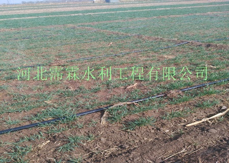 微喷带-规格齐全-内蒙古苗木大田微喷水带专用
