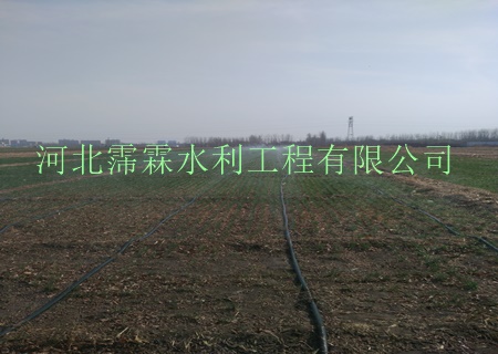 内蒙古苗木微喷带广泛应用大田微喷 水带
