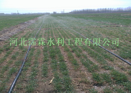 内蒙古微喷带,多孔微喷带|微喷带苗木生产厂家直销