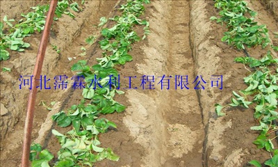 优质滴灌管采用纳米配方，内蒙古浇水塑料管大田滴灌专用