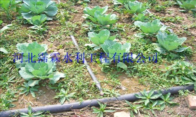 内蒙古浇水塑料管安装、使用、浇水塑料管维护操作方便！
