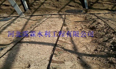 精品管径16mm滴灌管物美价廉|内蒙古浇水塑料管大田滴灌