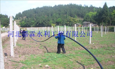 滴灌管、滴灌过滤器|内蒙古浇水塑料管大田滴灌水肥一体化