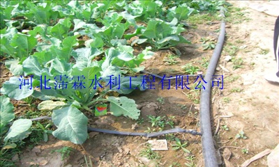 内蒙古压力滴灌管平铺可达100米以上 大田滴灌、浇水塑料管设备