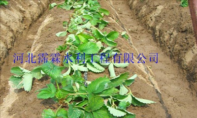 内蒙古大田滴灌系列——滴水管、浇水塑料管、滴灌管