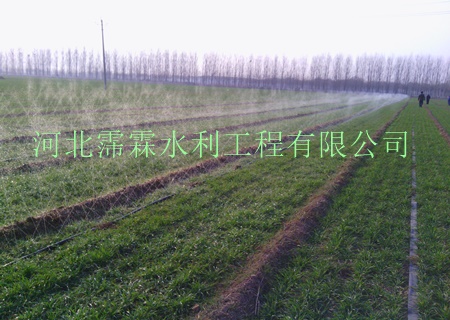 优质滴灌管采用纳米配方，内蒙古双孔出水管大田滴灌专用