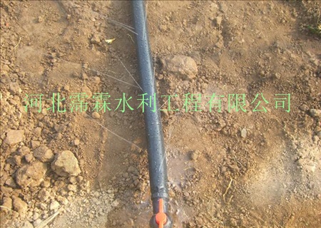 内蒙古农田滴水管价格 双孔出水管大田滴灌