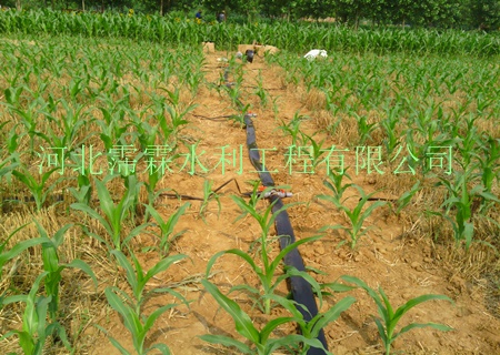 内蒙古双孔出水管安装、使用、双孔出水管维护操作方便！