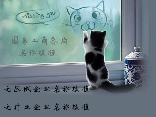 无行业国家局核名