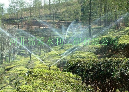 内蒙苗木滴灌PE管生产 果树滴灌材料厂家 灌溉PE管批发
