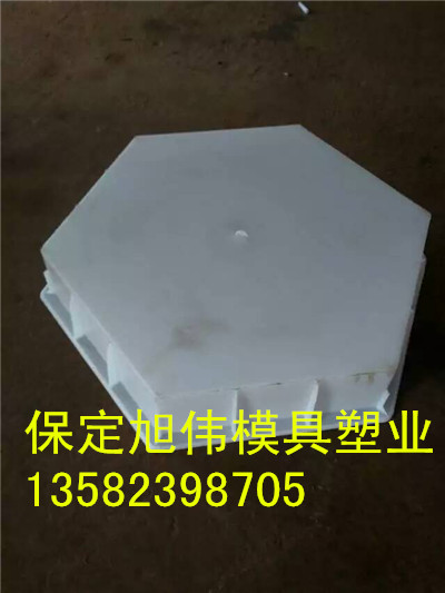 工艺精湛实心六角护坡模具批发