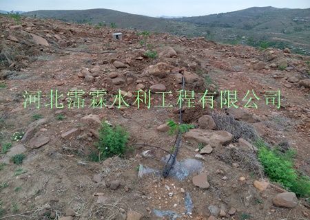 陕西西安石榴果园黑色滴管小管出流厂家直销