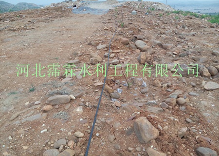 陕西西安石榴果园黑色滴管毛管、小管出流环保设备