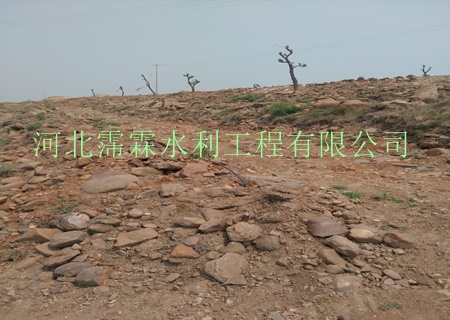 灌水均匀度高小管出流|陕西西安石榴果树滴灌技术肥水一体化