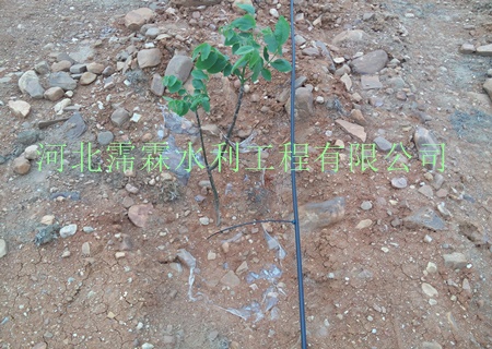 果树滴灌技术石榴小管出流节水灌溉、果园肥水一体化服务