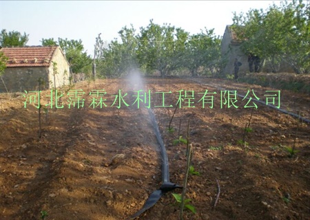 陕西西安大田微喷带批发代理 陕西西安油菜喷雾带供应