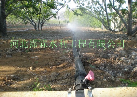 陕西西安油菜大田微喷带规格 大田喷灌专业生产