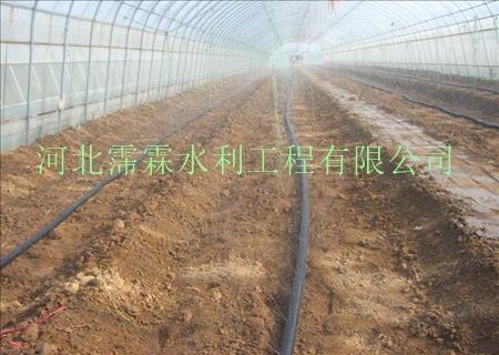 陕西西安油菜大田微喷带 网式过滤器喷雾带 大田喷灌设备
