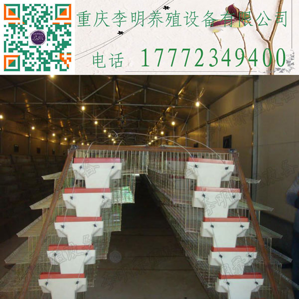 鹌鹑采食器 养殖设备 鹌鹑食槽 鹌鹑料槽 鹌鹑自动采食器