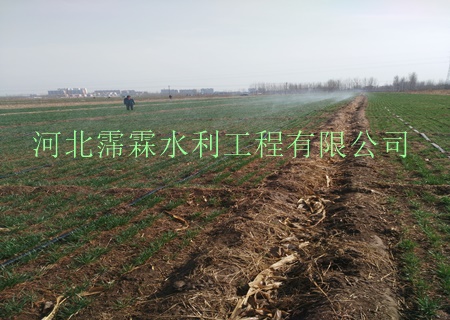 陕西西安油菜大田微喷带品种齐全 大田喷灌系列