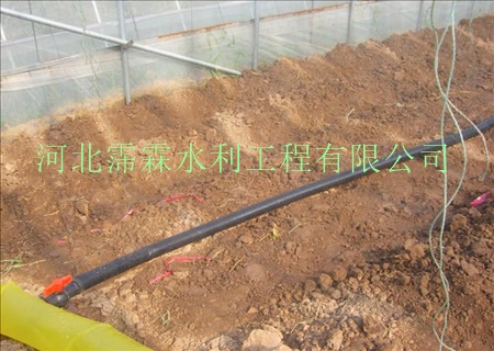 陕西西安油菜大田微喷带 供应多孔带特点 过滤器行情