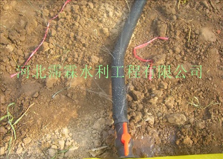 陕西西安油菜多孔带 大田微喷带、施肥罐系统