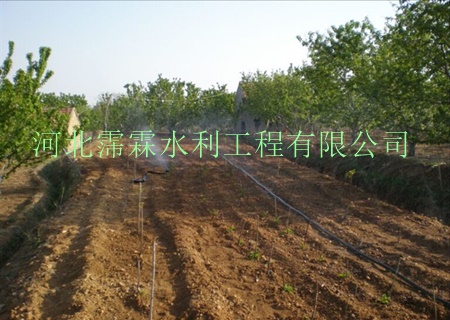 使用陕西西安油菜大田微喷带放心省心 多孔带、过滤器