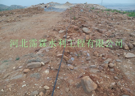 陕西西安猕猴桃果树小管出流—果树滴灌生产厂家