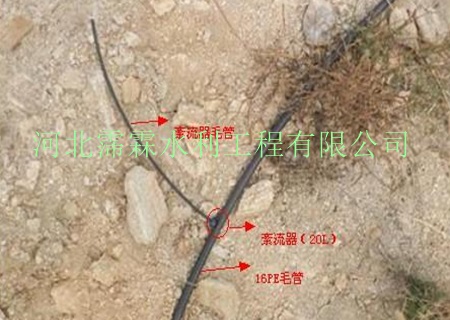 陕西西安猕猴桃滴灌小管出流专用-果树滴灌技术规格-厂家