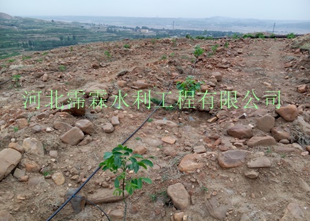 果园节水灌溉、陕西西安猕猴桃小管出流肥水一体化服务