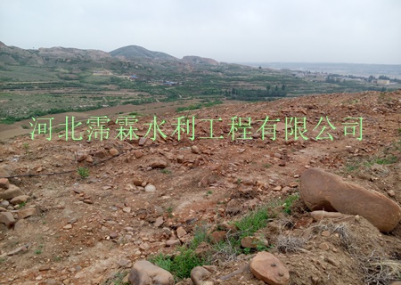 陕西西安猕猴桃果树节水灌溉滴水管价格 小管出流厂家直销