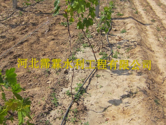 滴灌PE管滴水带陕西西安蔬菜大田滴灌带