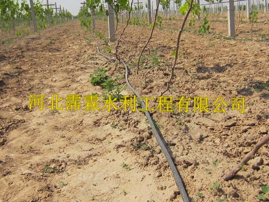 滴灌PE管渗水带陕西西安蔬菜大田滴灌带