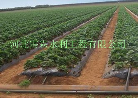 陕西西安蔬菜大田滴灌带|滴灌安装渗水带管理方便