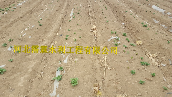 人工安装费用低渗水带【陕西西安蔬菜大田滴灌带厂家】