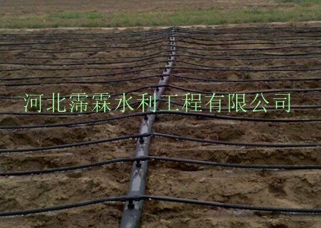 【陕西西安蔬菜大田滴灌带】渗水带滴灌厂家性能