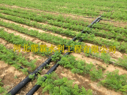 减少病虫害渗水带|陕西西安蔬菜大田滴灌带