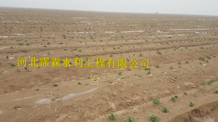 陕西西安蔬菜大田滴灌带|渗水带有效提高产量