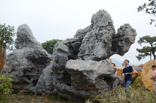 大型英石假山厂家_英石园林石厂家提供优质景观石_景观石价格