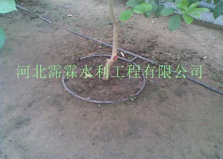长期出售果树滴灌滴头 陕西西安苹果果树滴灌PE管
