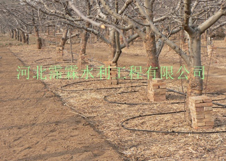 陕西西安果树滴灌PE管批发苹果16mmPE管小管出流稳流器