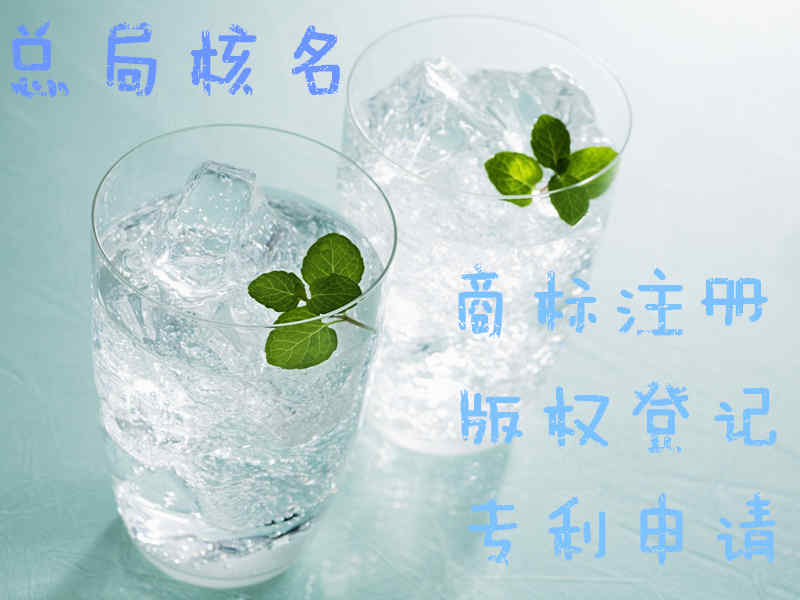 国家工商总局企业预先核准名称