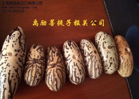 菩提子进口报关_菩提子报关代理_上海禹励供