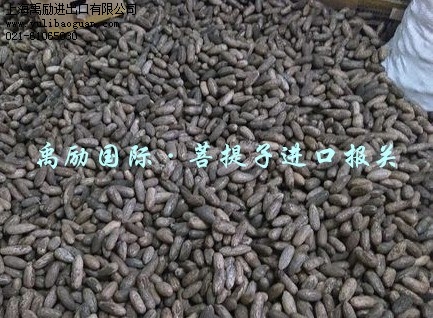 菩提子报关公司_菩提子进口代理_上海禹励供