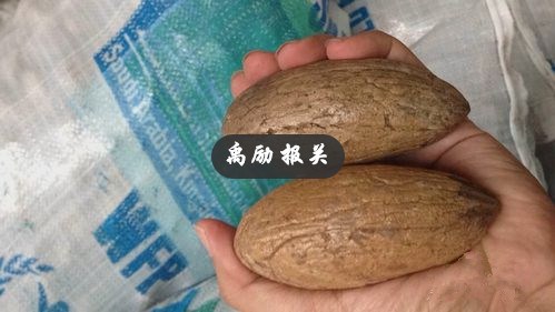 菩提子进口清关_上海禹励供
